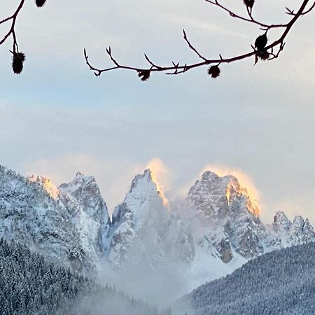 Fra Rose E Mughi Bed & Breakfast Domegge di Cadore Luaran gambar