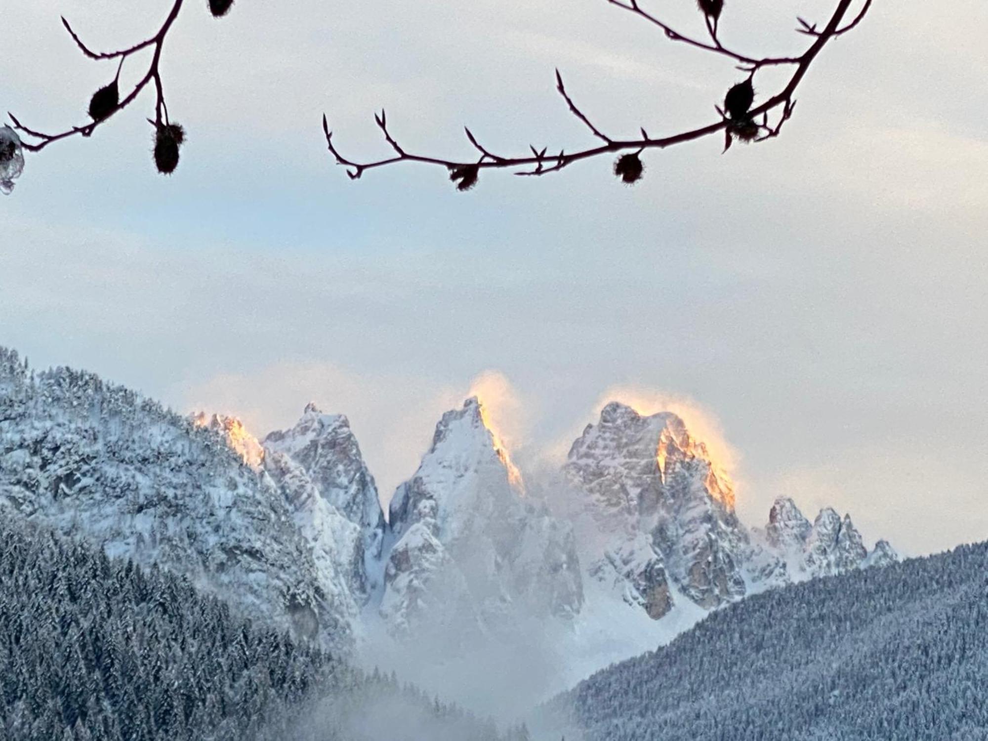Fra Rose E Mughi Bed & Breakfast Domegge di Cadore Luaran gambar