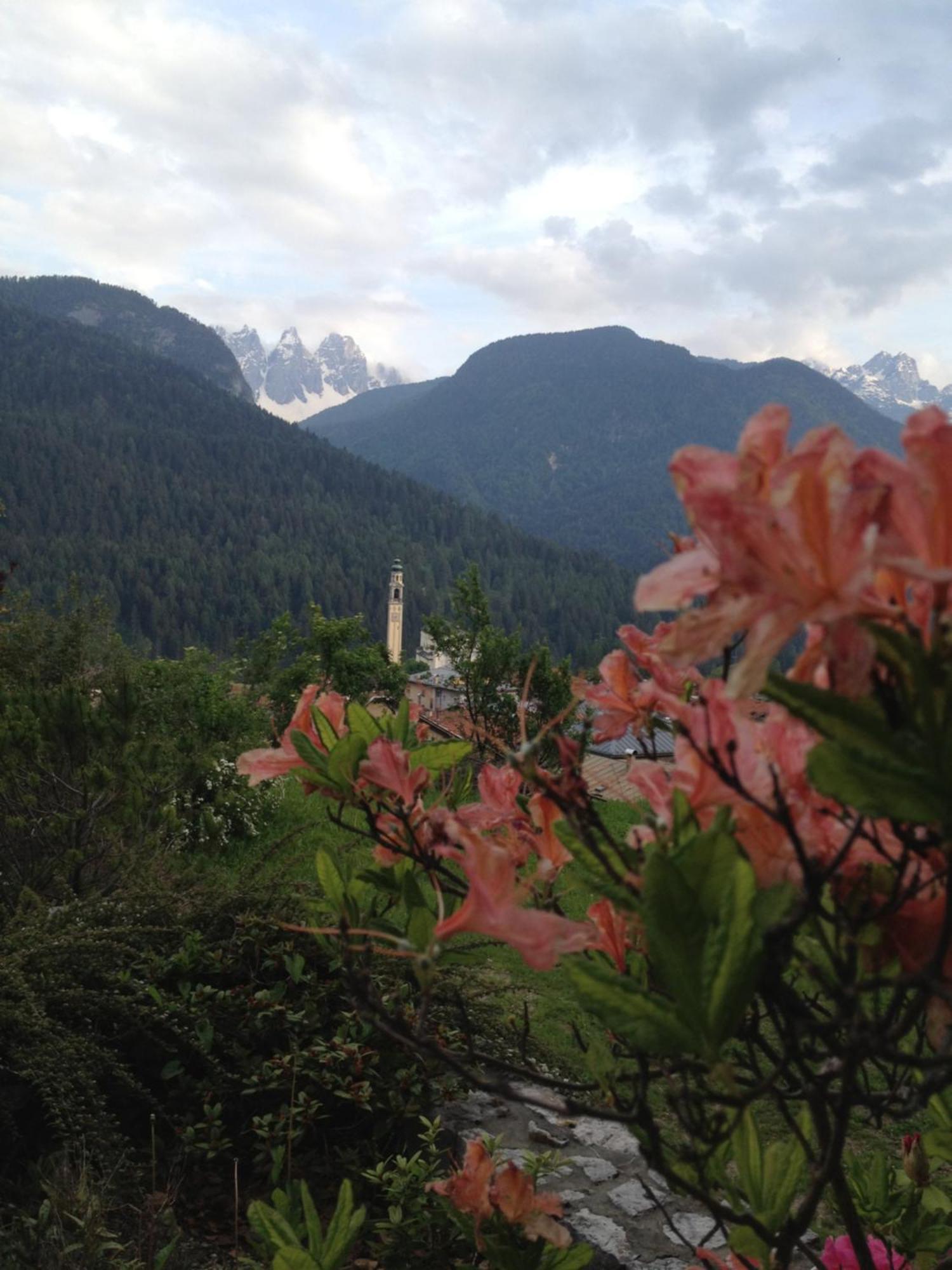 Fra Rose E Mughi Bed & Breakfast Domegge di Cadore Luaran gambar