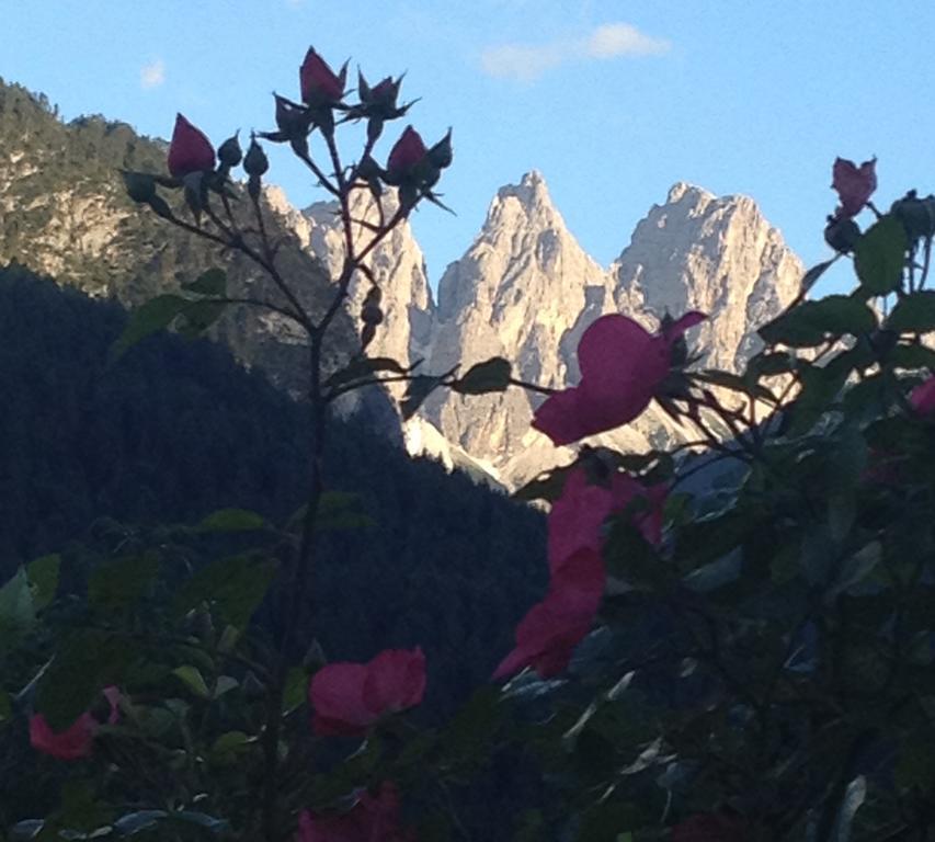 Fra Rose E Mughi Bed & Breakfast Domegge di Cadore Luaran gambar