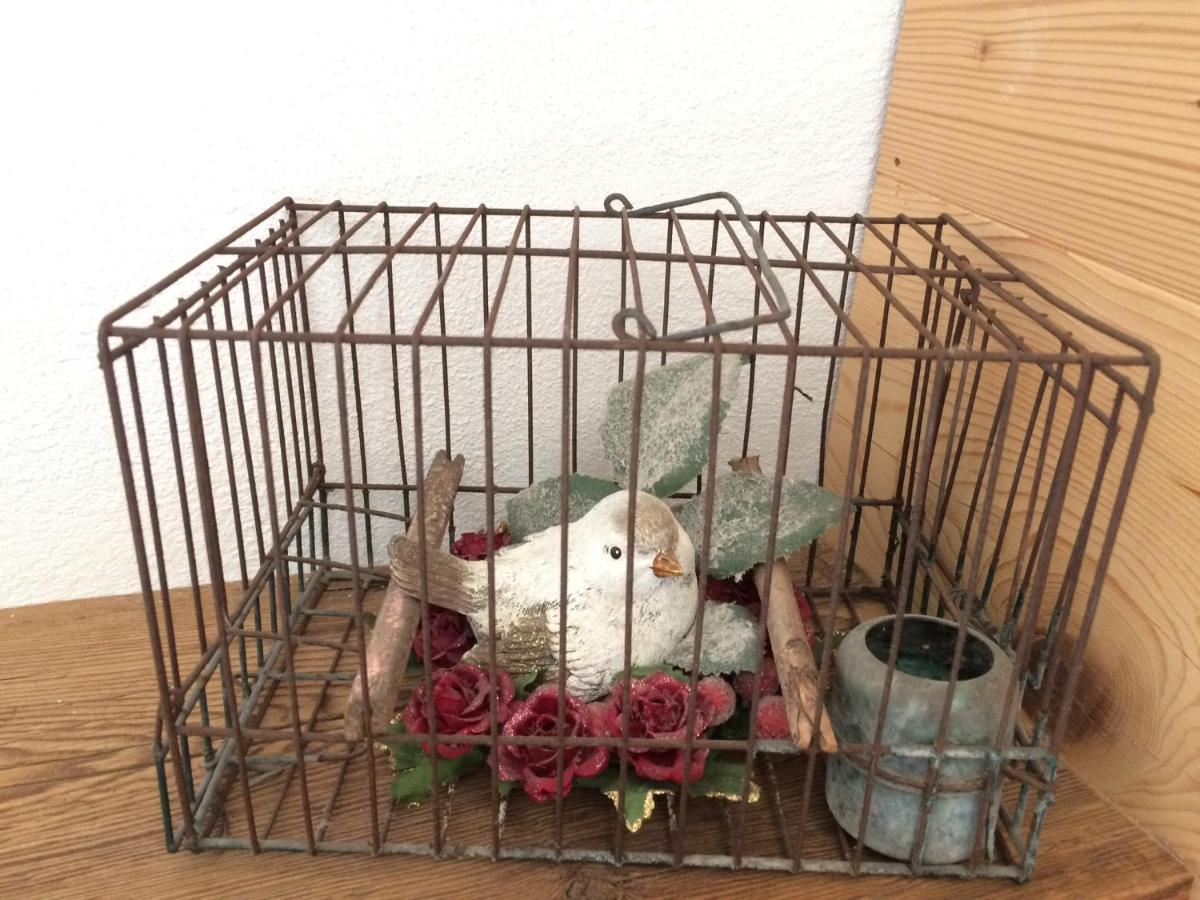 Fra Rose E Mughi Bed & Breakfast Domegge di Cadore Luaran gambar